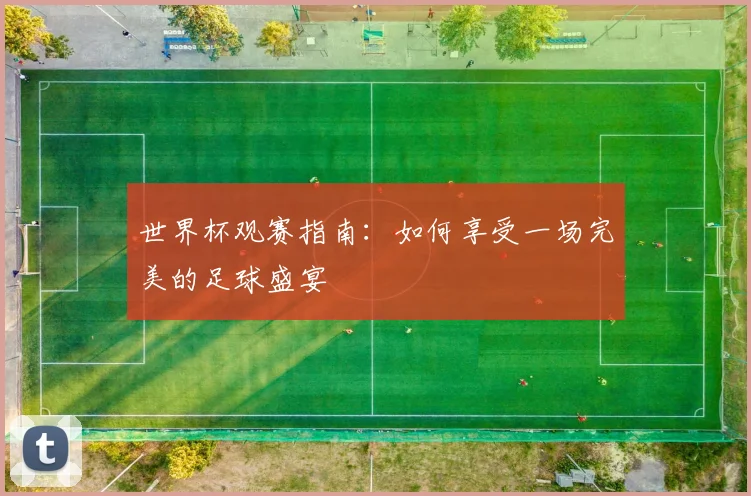 世界杯观赛指南:如何享受一场完美的足球盛宴