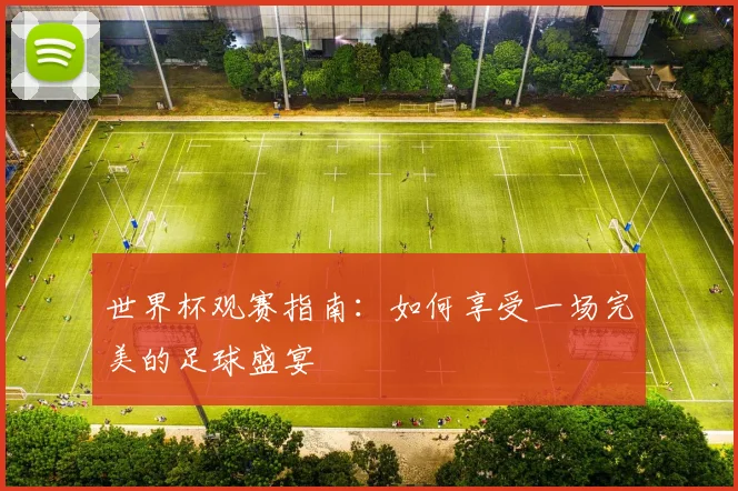 世界杯观赛指南：如何享受一场完美的足球盛宴