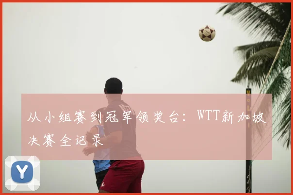 从小组赛到冠军领奖台：WTT新加坡决赛全记录