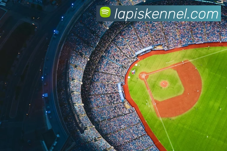 奇异果app官网入口品牌故事