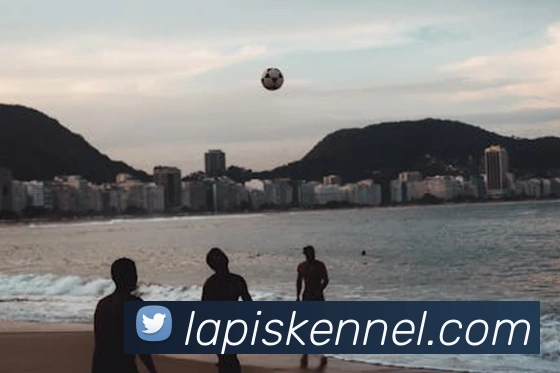 多媒体互动体验