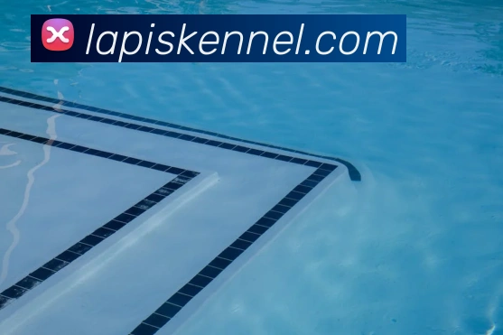 奇异果app官网入口APP 体育赛事宣传图